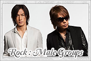 Rock Male Group